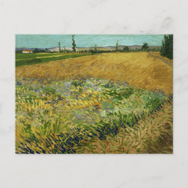 Postal Vincent Van Gogh, Campo de trigo, Korenveld