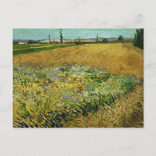Postal Vincent Van Gogh, Campo de trigo, Korenveld (Anverso)