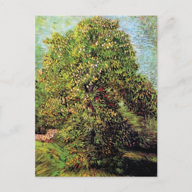 Postal Vincent Van Gogh - Castaño en Flor (Anverso)
