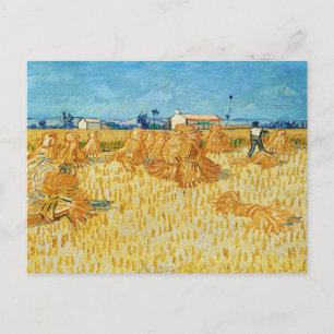 Postal Vincent Van Gogh, cosecha de maíz en Provenza