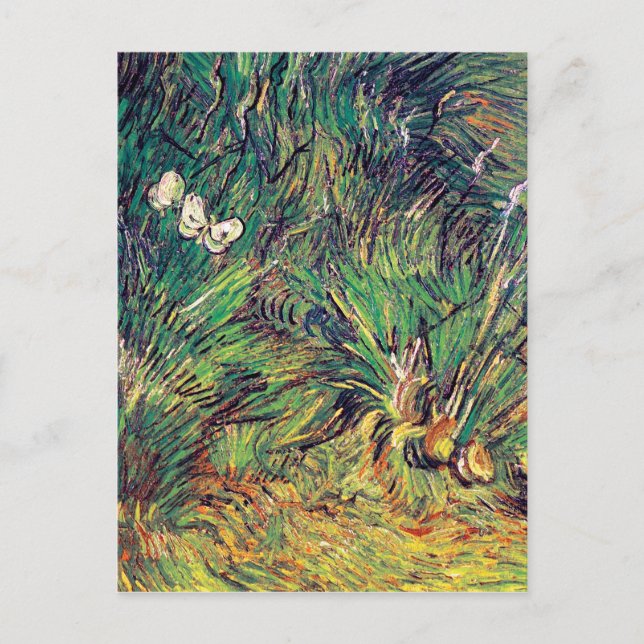 Postal Vincent Van Gogh - Dos Mariposas Blancas Arte Fino (Anverso)
