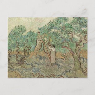 Postal Vincent Van Gogh El huerto de oliva