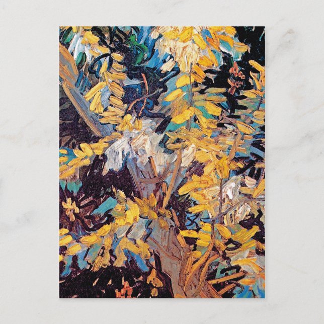Postal Vincent Van Gogh - Florecientes ramas de Acacia (Anverso)