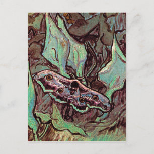Postal Vincent Van Gogh - Gran Polilla Pavo Real Arte Fin
