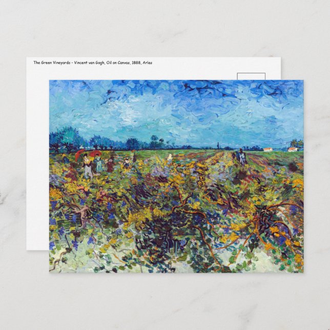 Postal Vincent van Gogh - Green Vineyard (Anverso / Reverso)