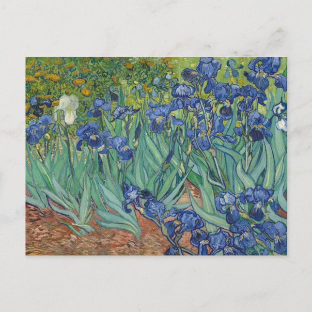Postal Vincent van Gogh - Irises (Anverso)