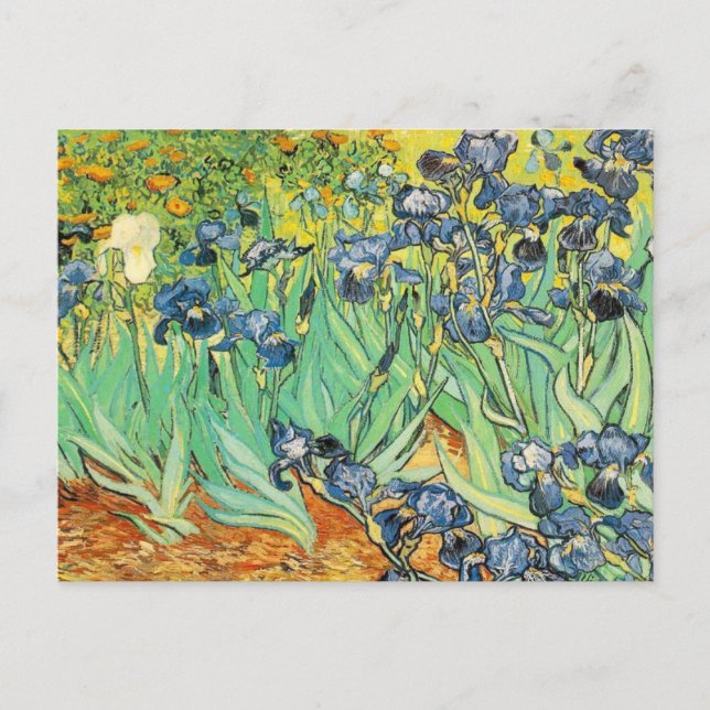 Postal Vincent Van Gogh - Irises (Anverso)