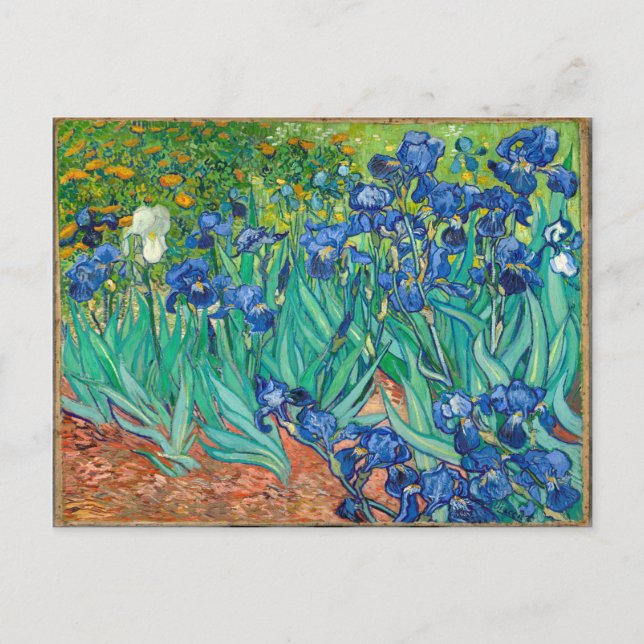Postal VINCENT VAN GOGH - Irises 1889 (Anverso)