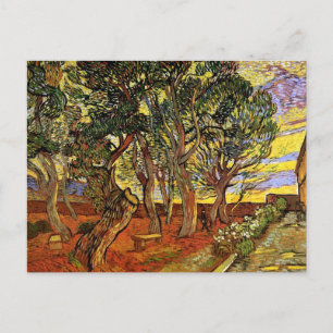 Postal Vincent Van Gogh - Jardín del Hospital de Saint Pa