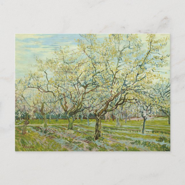 Postal Vincent van Gogh - la huerta blanca (Anverso)