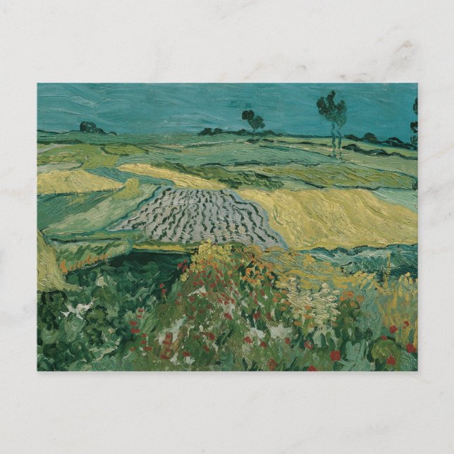 Postal Vincent van Gogh - La llanura de Auvers (Anverso)