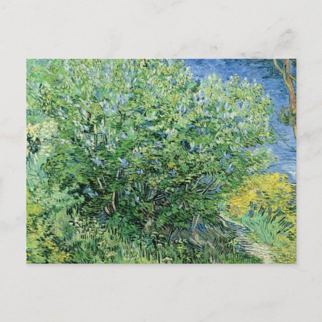 Postal Vincent Van Gogh - Lilacs (Anverso)