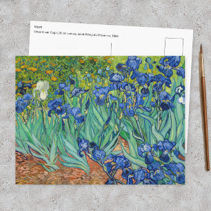Postal Vincent Van Gogh - Lirios