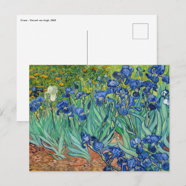 Postal Vincent Van Gogh - Lirios (Anverso / Reverso)