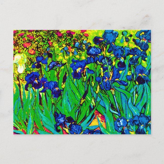 Postal Vincent Van Gogh - Lirios - Amante de las Flores A (Anverso)