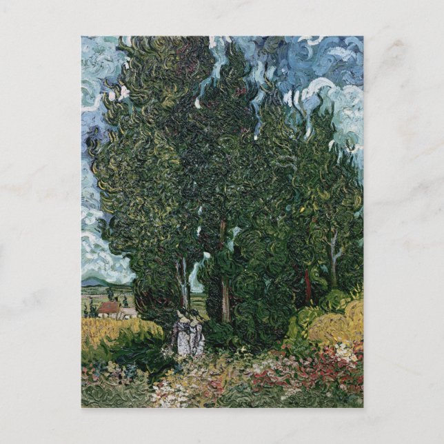 Postal Vincent van Gogh | Los cipreses, c.1889-90 (Anverso)