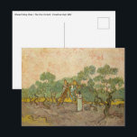 Postal Vincent van Gogh - Mujeres recolectando aceitunas<br><div class="desc">Mujeres recolectando aceitunas / El huerto de oliva - Vincent van Gogh,  1889</div>