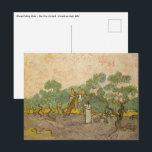 Postal Vincent van Gogh - Mujeres recolectando aceitunas<br><div class="desc">Mujeres recolectando aceitunas / El huerto de oliva - Vincent van Gogh,  1889</div>
