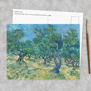 Postal Vincent van Gogh - Olivar