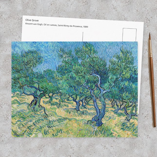 Postal Vincent van Gogh - Olivar (Subido por el creador)