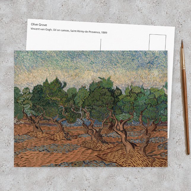 Postal Vincent van Gogh - Olivar (Subido por el creador)