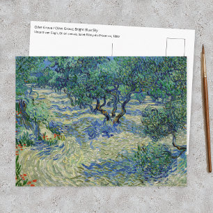 Postal Vincent van Gogh - Olivar