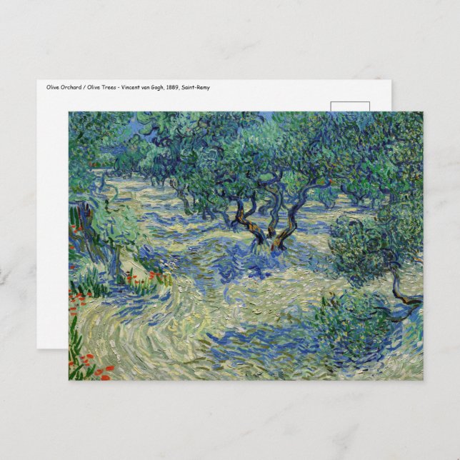 Postal Vincent van Gogh - Olivar (Anverso / Reverso)