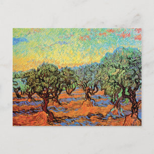 Postal Vincent Van Gogh - Olivar con cielo anaranjado