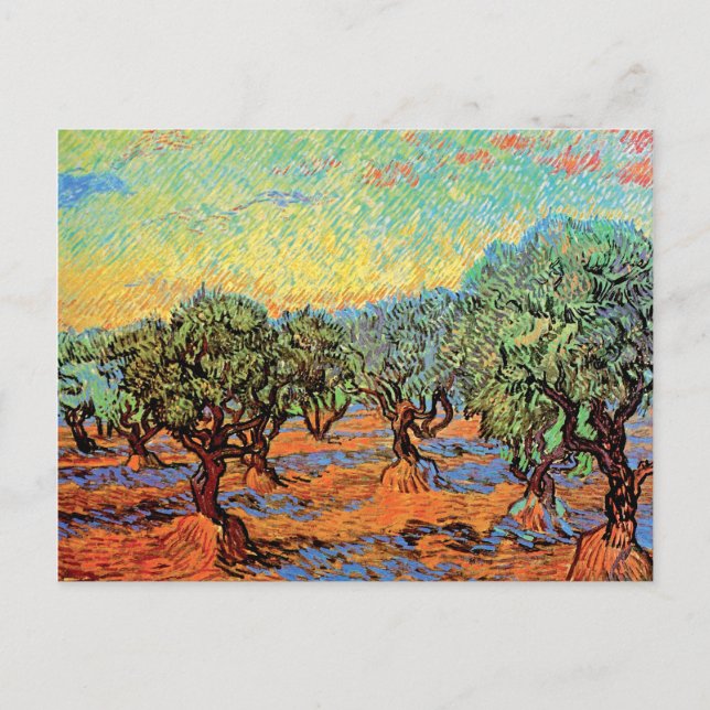 Postal Vincent Van Gogh - Olivar con cielo anaranjado (Anverso)
