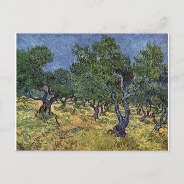 Postal Vincent van Gogh - Olive Grove (Anverso)