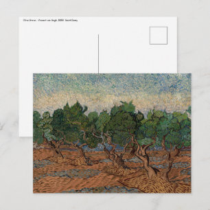 Postal Vincent van Gogh - Olive Grove