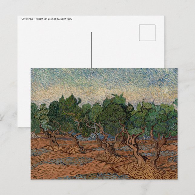 Postal Vincent van Gogh - Olive Grove (Anverso / Reverso)