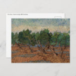 Postal Vincent van Gogh - Olive Grove<br><div class="desc">Olive Grove - Vincent van Gogh,  1889,  Saint-Remy</div>