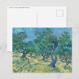 Postal Vincent van Gogh - Olive Grove