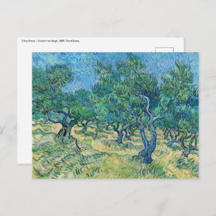 Postal Vincent van Gogh - Olive Grove