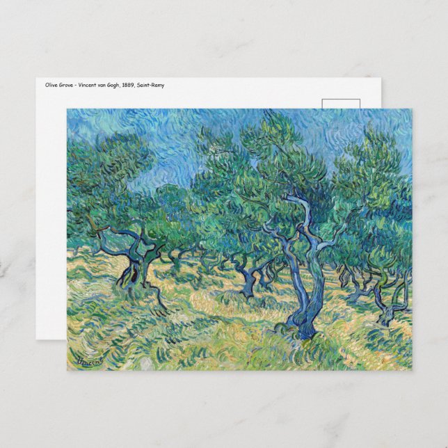 Postal Vincent van Gogh - Olive Grove (Anverso / Reverso)