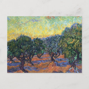 Postal Vincent Van Gogh Olive Grove Impresionsionism Art