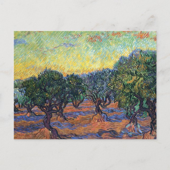 Postal Vincent Van Gogh Olive Grove Impresionsionism Art (Anverso)