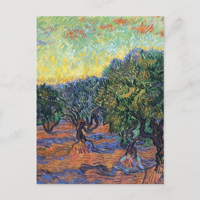Postal Vincent Van Gogh Olive Grove Impresionsionism Art (Anverso)