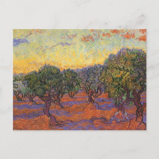 Postal Vincent van Gogh - Olive Grove, Naranja Sky (Anverso)