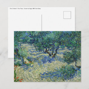Postal Vincent van Gogh - Olive Orchard