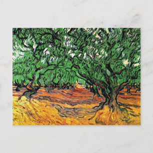 Postal Vincent Van Gogh - Olivos Arte Fino