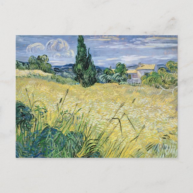 Postal Vincent van Gogh | Paisaje con maíz verde, 1889 (Anverso)