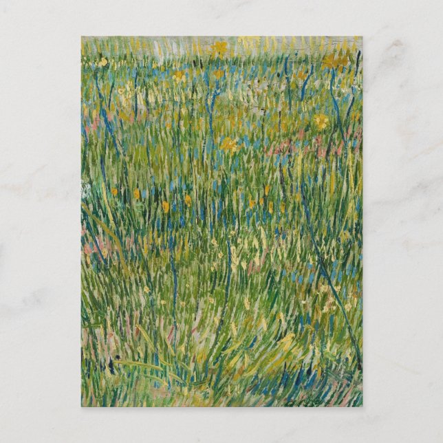 Postal Vincent van Gogh - Parche de pasto (Anverso)
