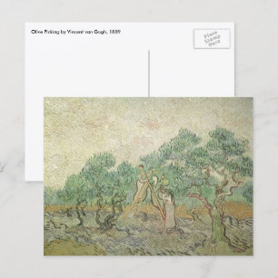 Postal Vincent van Gogh - Picking de olivos