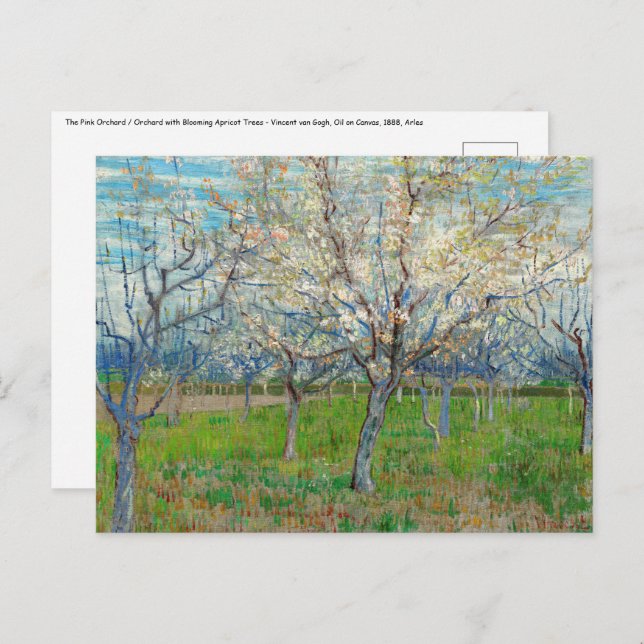 Postal Vincent van Gogh - Pink Orchard (Anverso / Reverso)