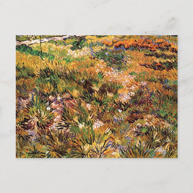 Postal Vincent Van Gogh - Prado en el Jardín Arte Fino (Anverso)