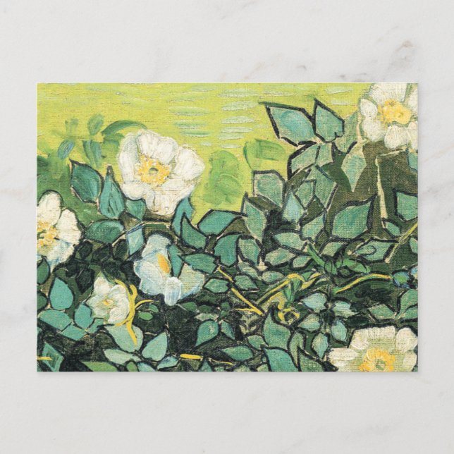 Postal Vincent Van Gogh - Rosas salvajes 1890 (Anverso)