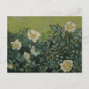Postal Vincent van Gogh - Rosas silvestres