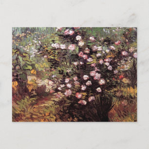 Postal Vincent Van Gogh - Rosebush En Bella Artes Blossom